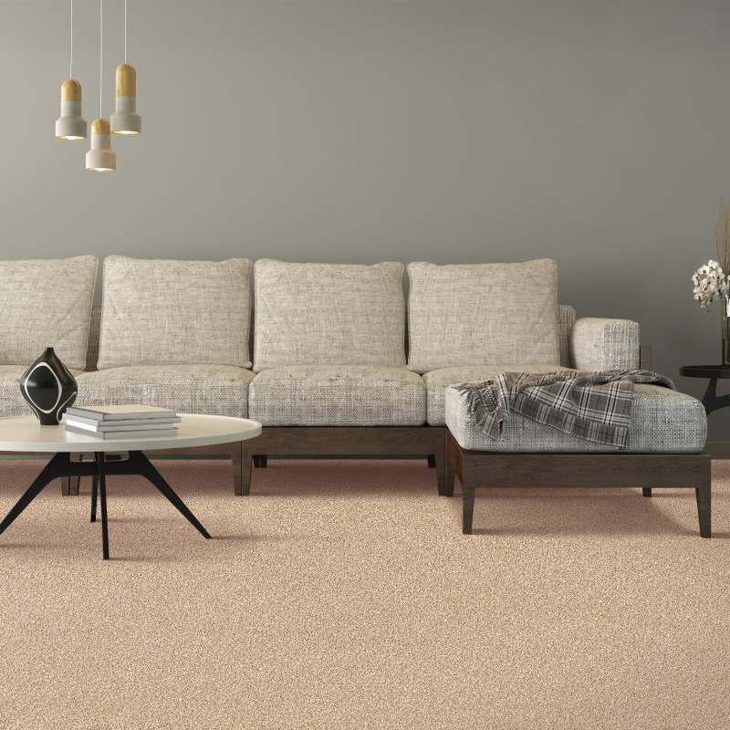 Floor Fashion World providing stain-resistant pet proof carpet in North Bay, ON - Impressive Selection - Mindful
